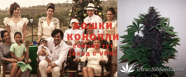 крисы Алексеевка