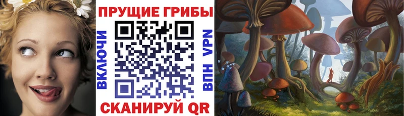 Галлюциногенные грибы прущие грибы  Солигалич 